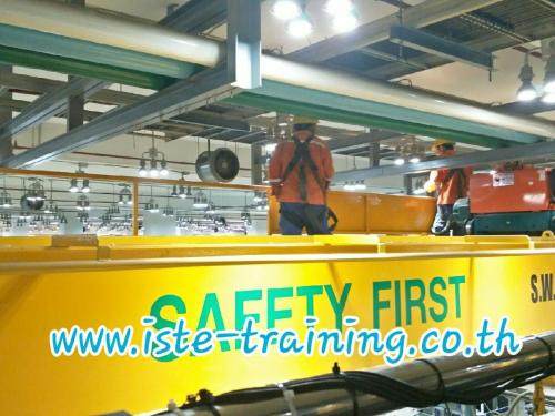 Annual-PM-crane-inspection-and-maintenance-service-13