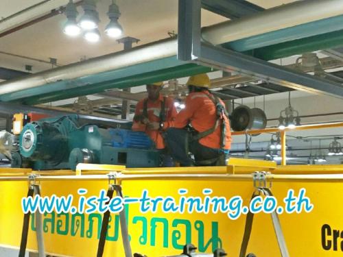Annual-PM-crane-inspection-and-maintenance-service-21