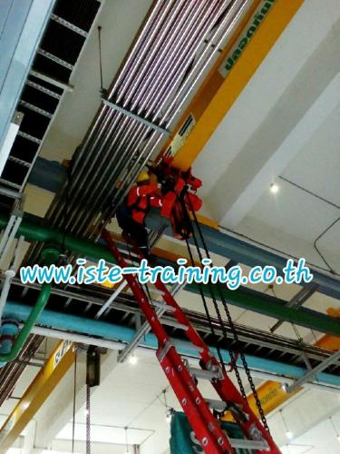 Annual-PM-crane-inspection-and-maintenance-service-24