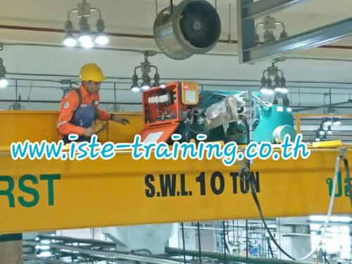 Annual-PM-crane-inspection-and-maintenance-service-30