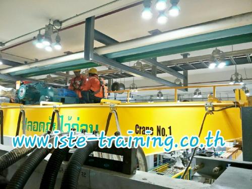 Annual-PM-crane-inspection-and-maintenance-service-31