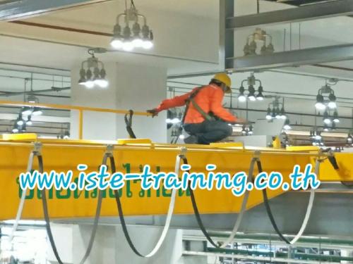 Annual-PM-crane-inspection-and-maintenance-service-6