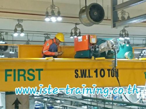 Annual-PM-crane-inspection-and-maintenance-service-7