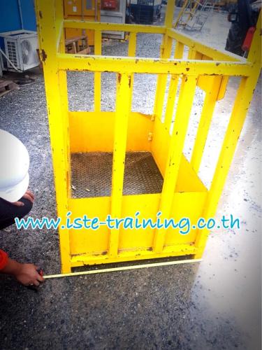 Basket-Inspection-6